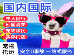 潍坊航空运输国际宠物托运 【国